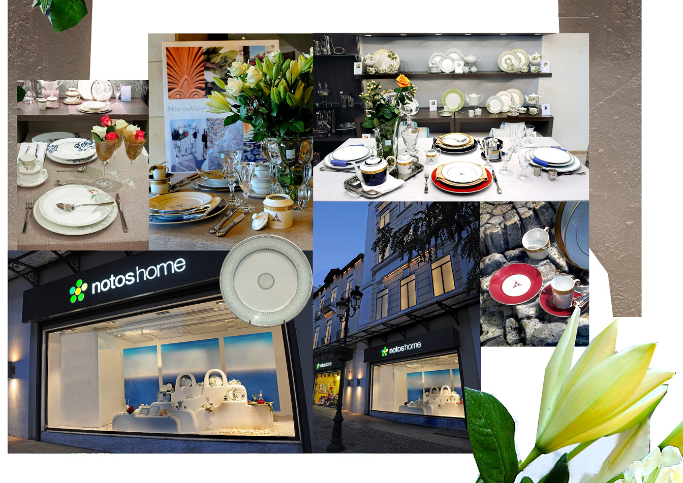 Ionia Brand Experienece